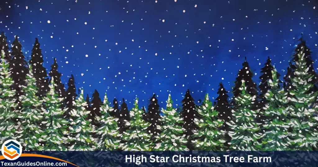 High Star Christmas Tree Farm