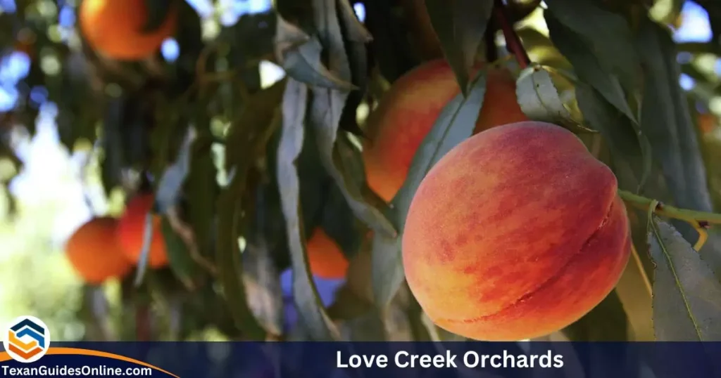 Love Creek Orchards