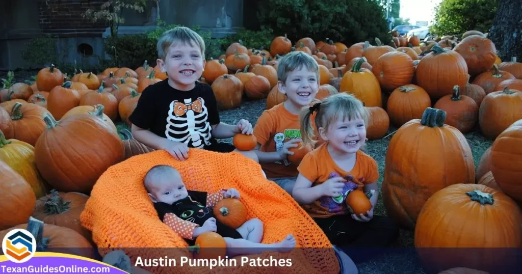 austin-pumpkin-patches