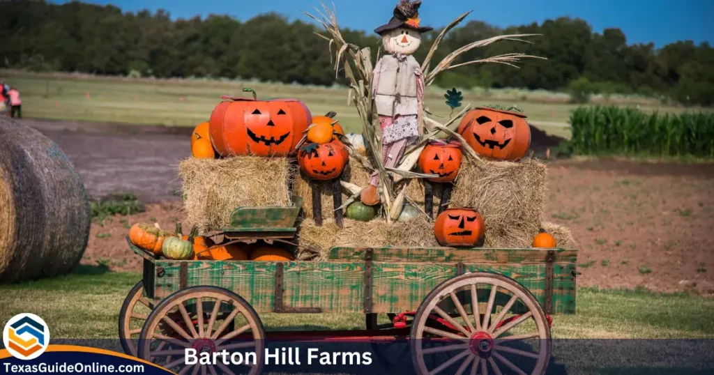 Barton Hill Farms