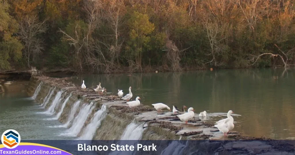 Blanco State Park