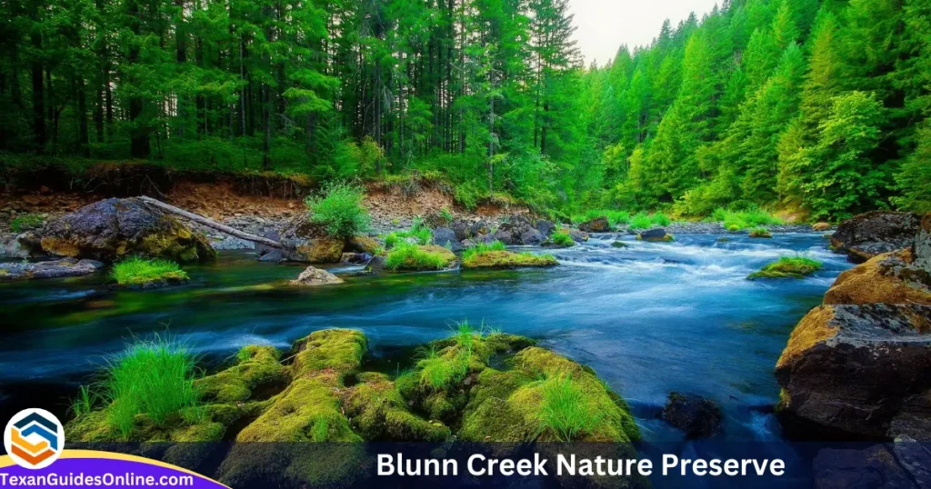 Blunn Creek Nature Preserve