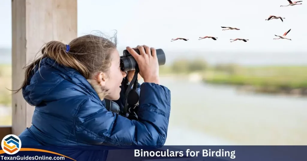 Bring your Binoculars for Birding