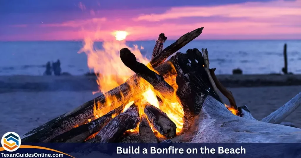 Build a Bonfire on the Beach