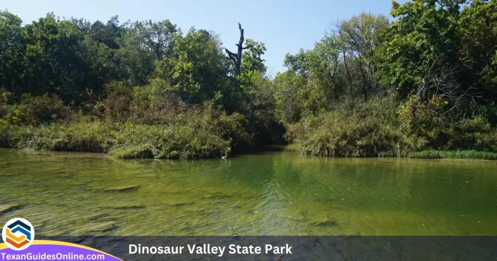 Dinosaur Valley State Park