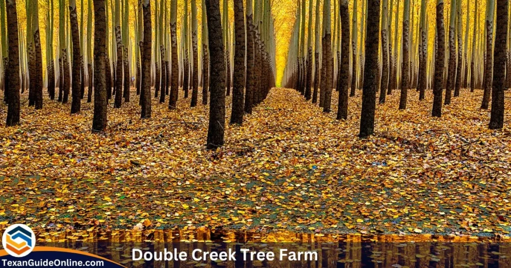 double-creek-tree-farm