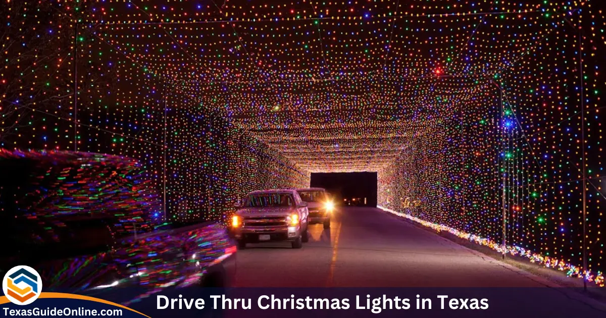 Drive Thru Christmas Lights in Texas