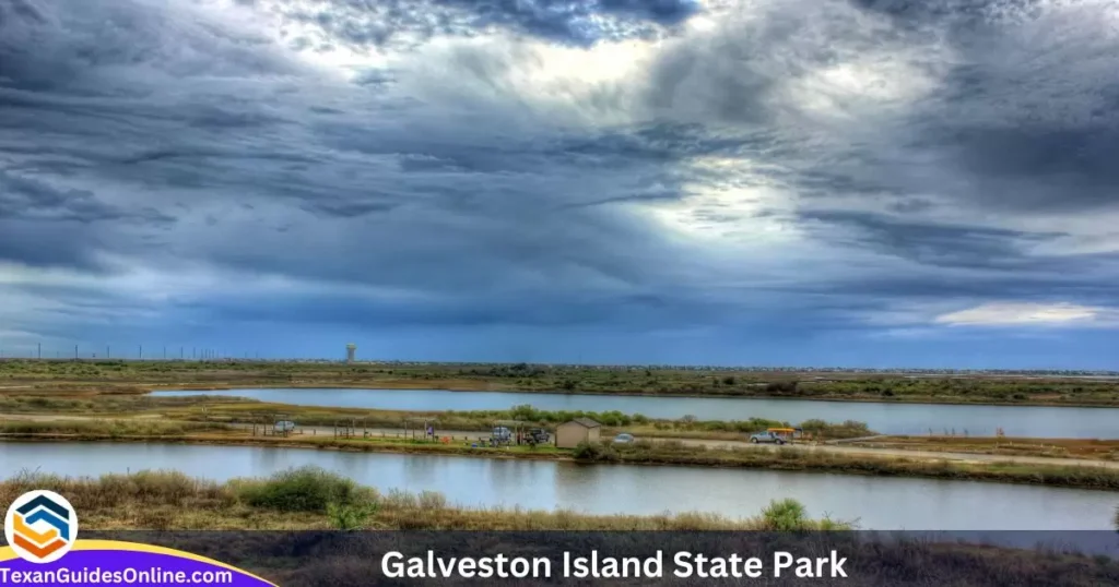 Galveston Island State Park