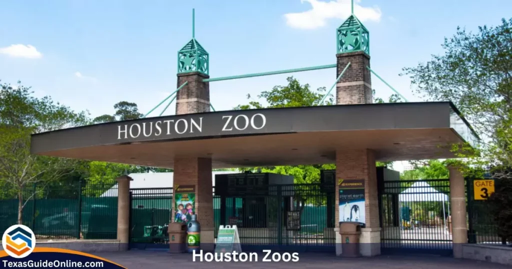 Houston Zoo