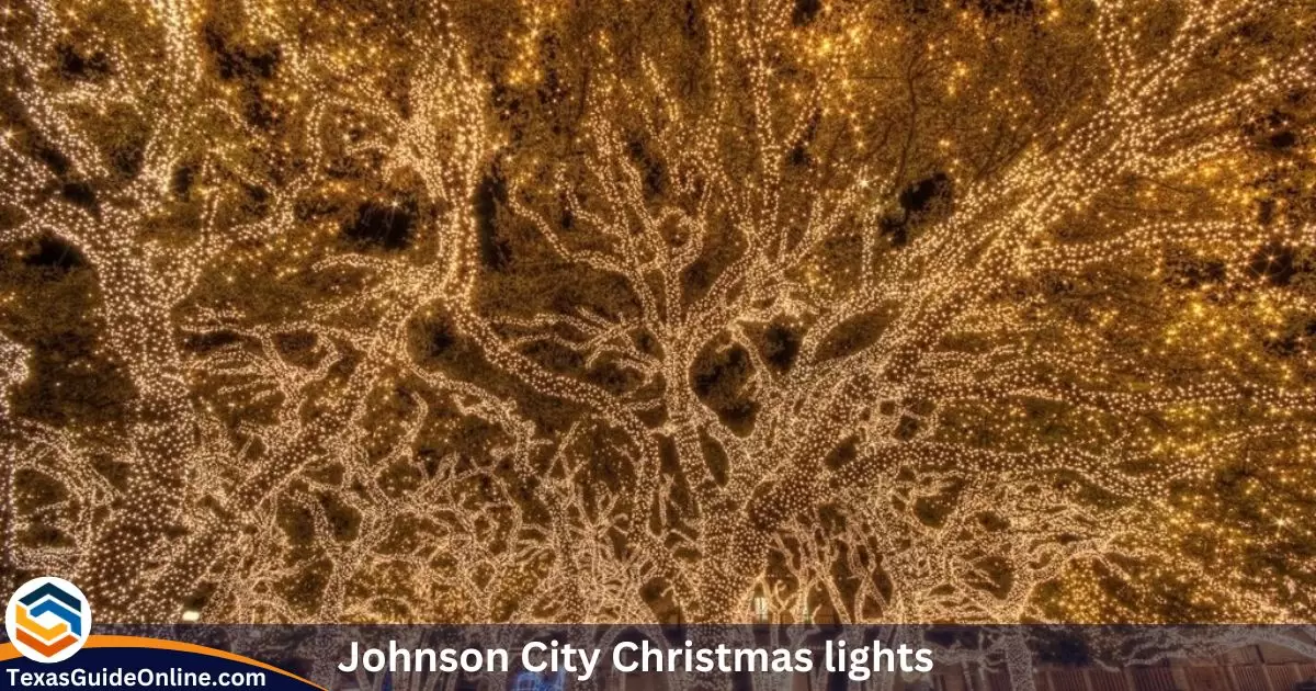 Johnson City Christmas lights