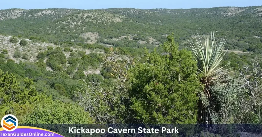 Kickapoo Cavern State Park