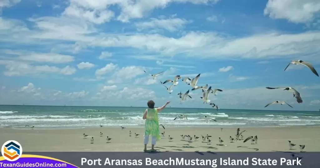 Mustang Island State Park