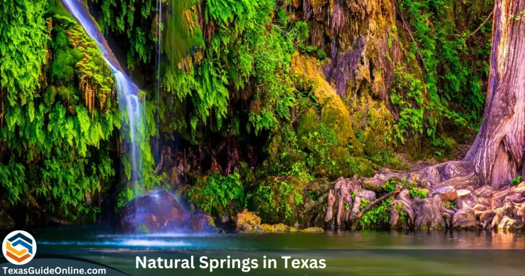 Natural Springs in Texas