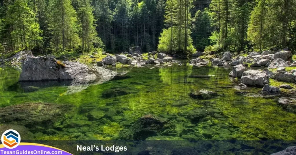 Neal’s Lodges