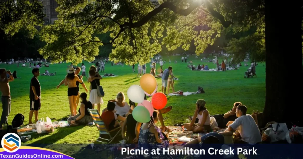 Picnic at Hamilton Creek Park