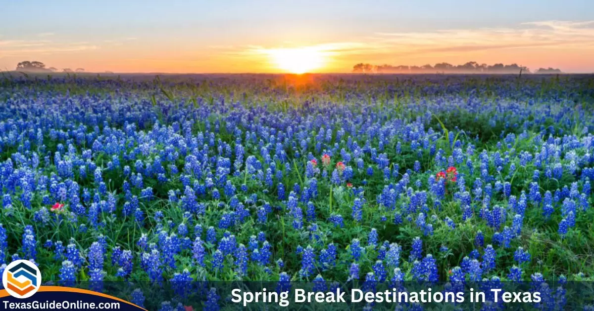 24+ Top Spring Break Destinations in Texas