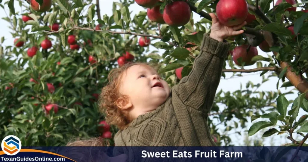 sweet-eats-fruit-farm