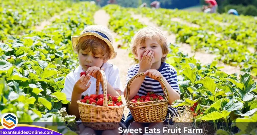 Sweet Eats Fruit Farm