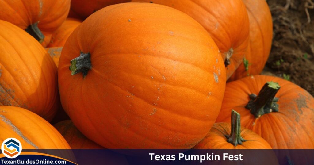 Texas Pumpkin Fest