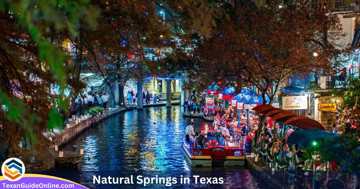 Things to Do in San Antonio for Christmas in 2024