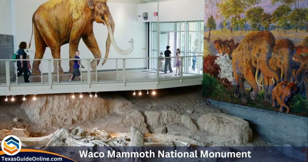 Waco Mammoth National Monument