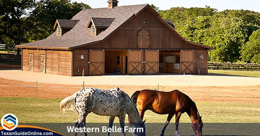 Western Belle Farm