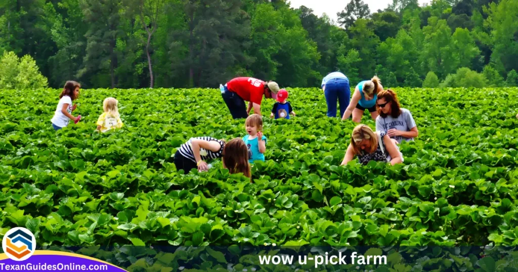 wow u-pick farm