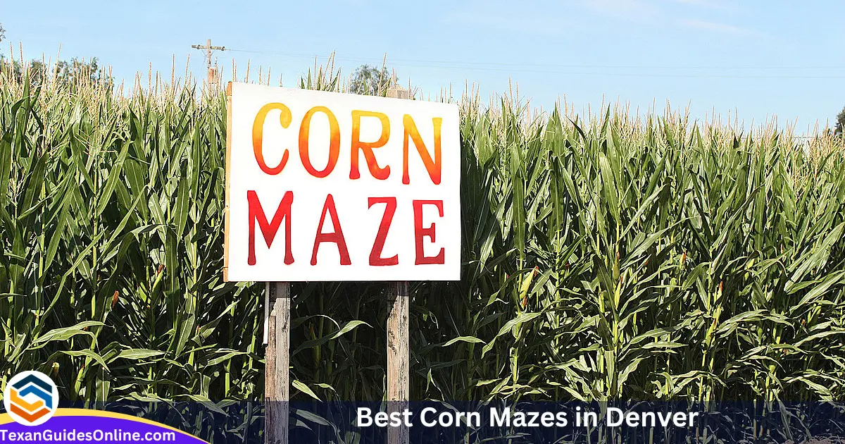 Best Corn Mazes in Denver