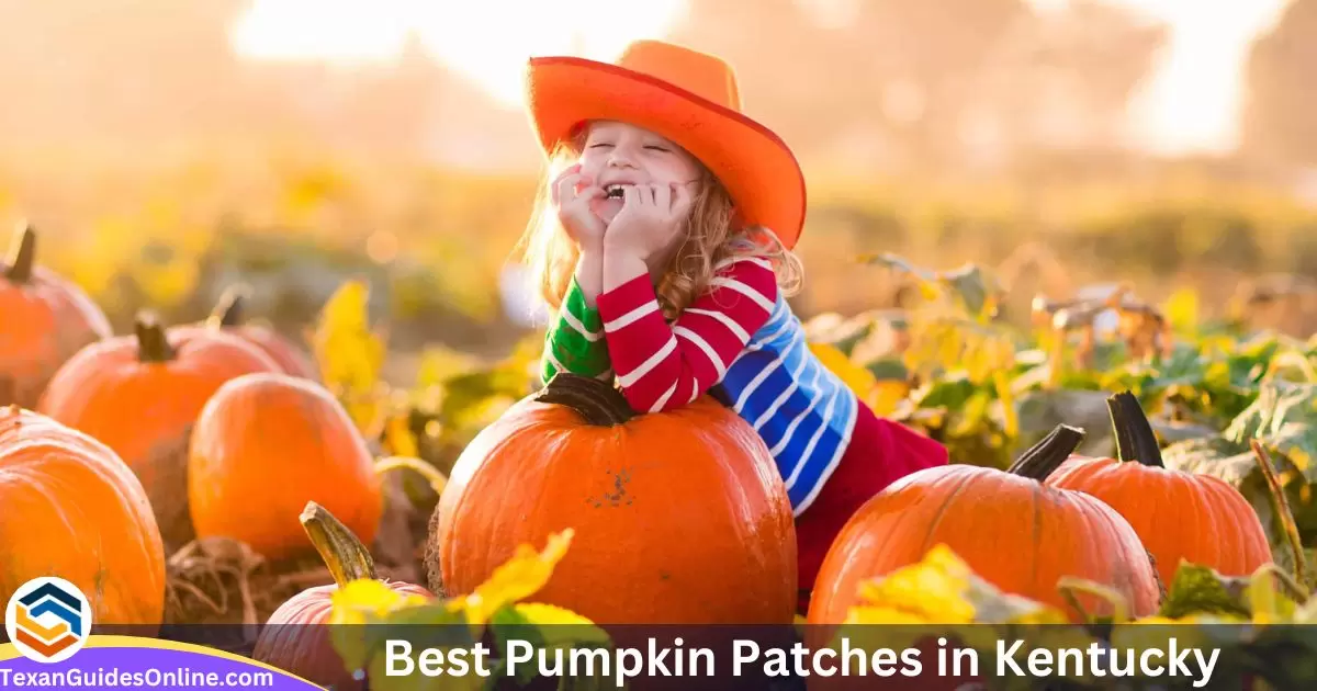 Best Pumpkin Patches in Kentucky