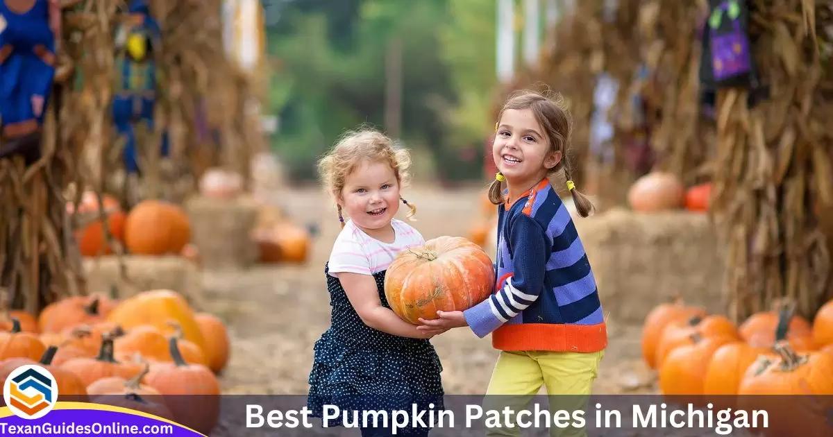 Best Pumpkin Patches in Michigan
