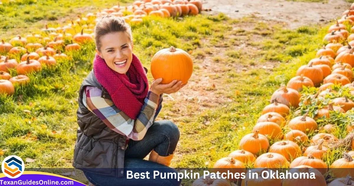 Best Pumpkin Patches in Oklahoma