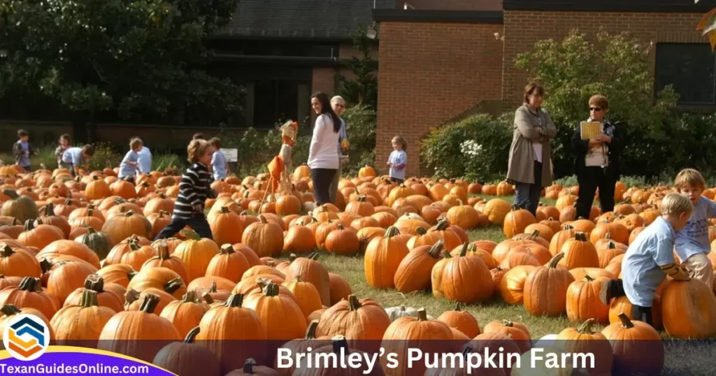 Brimley’s Pumpkin Farm