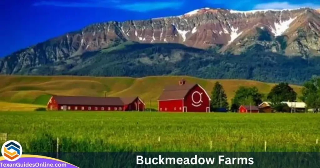 Buckmeadow Farms