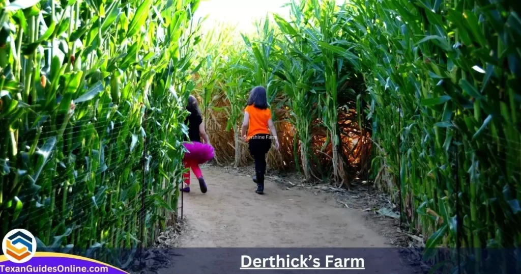 Derthick’s Farm