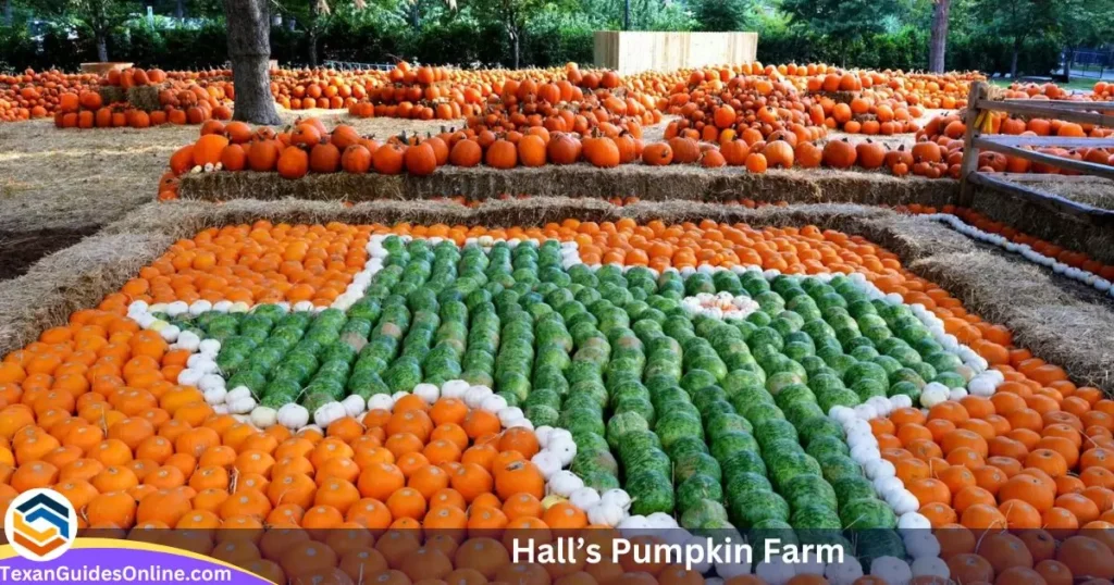 Hall’s Pumpkin Farm