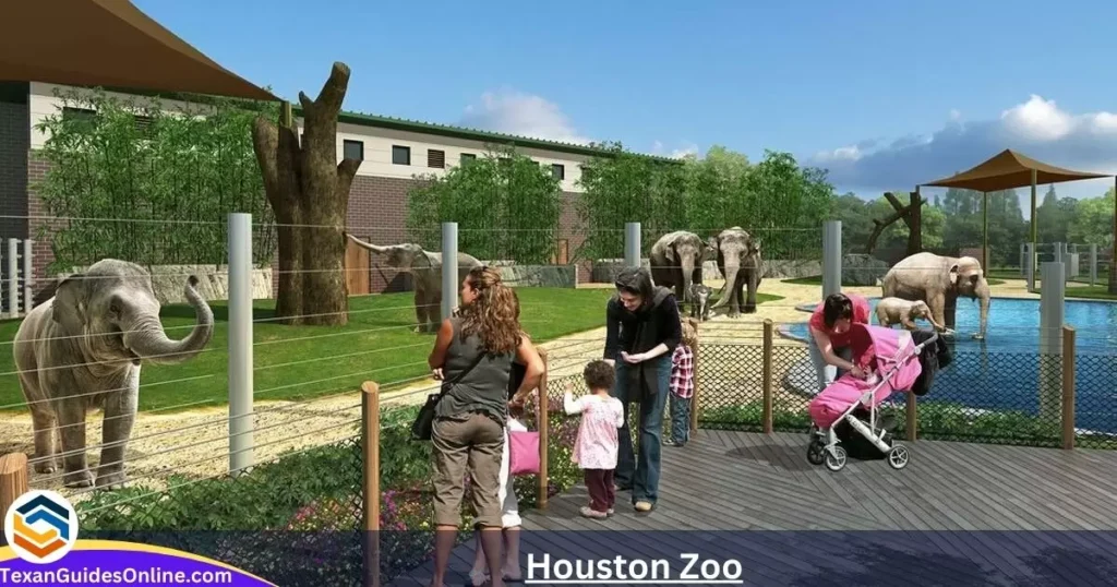 Houston Zoo