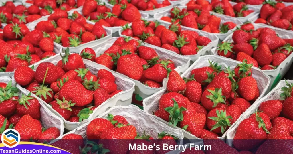 Mabe’s Berry Farm