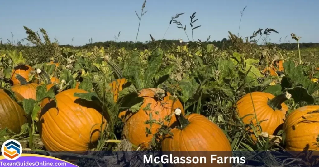 McGlasson Farms