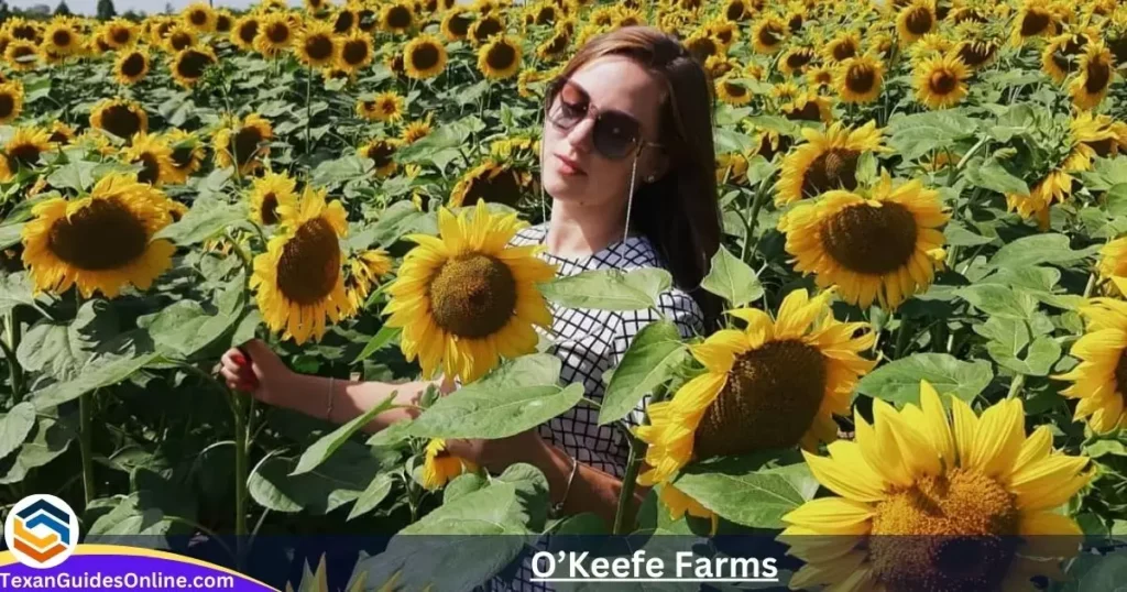 O’Keefe Farms