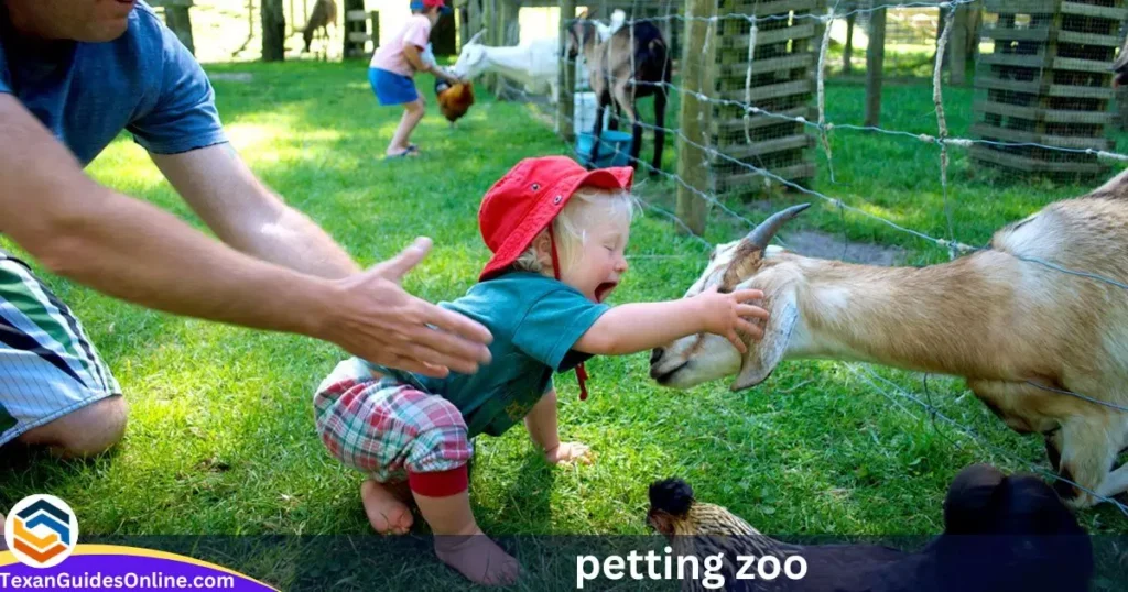  petting zoo