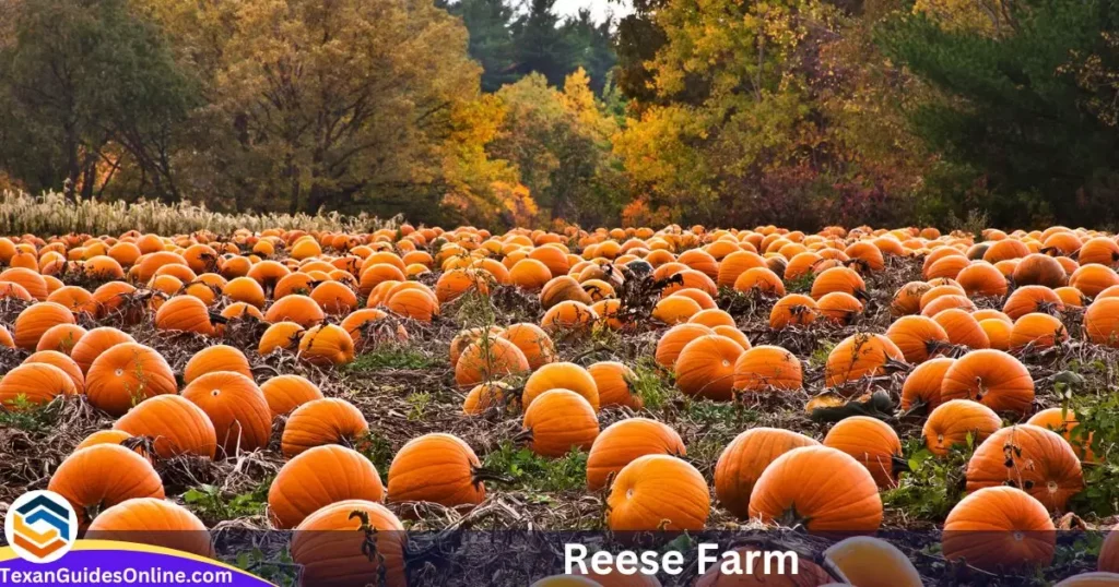 Reese Farm