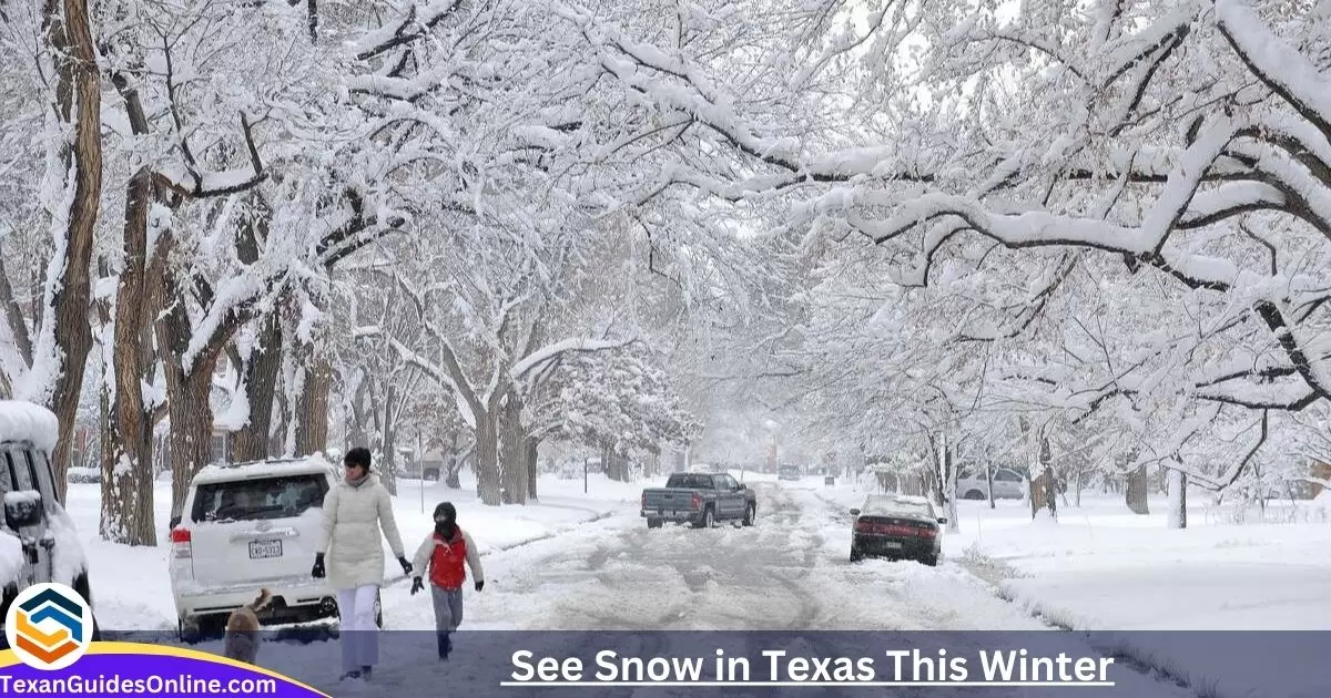 See Snow in Texas This Winter