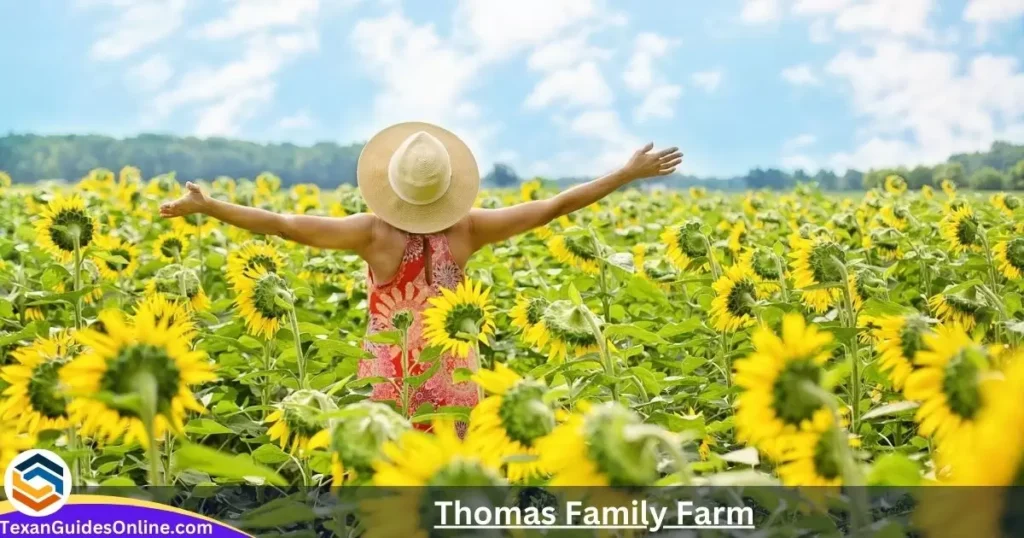 Thomas Family Farm