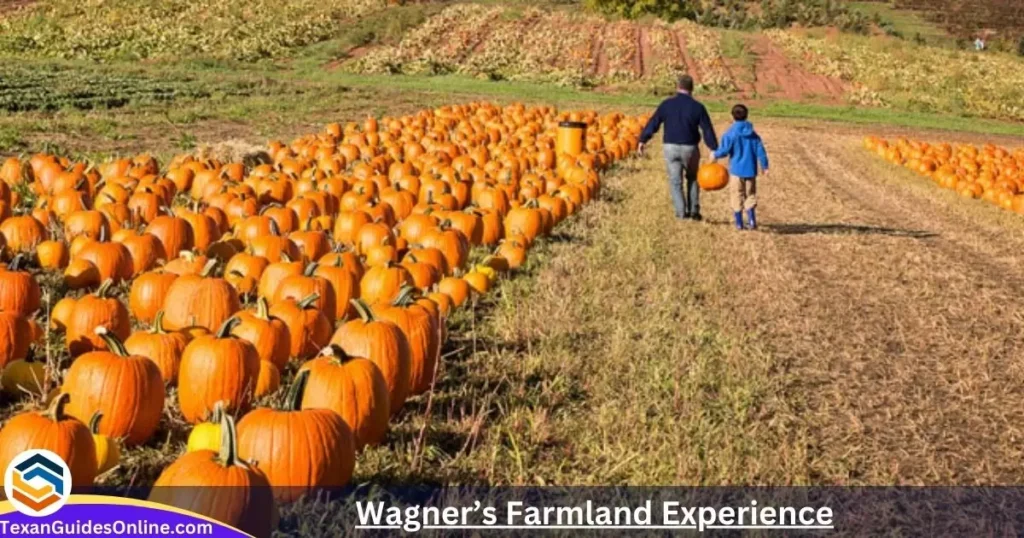 Wagner’s Farmland Experience